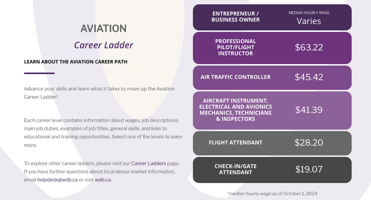 Aviation Career Ladder Cover Image